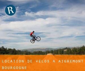 Location de Vélos à Aigremont (Bourgogne)