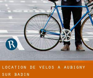 Location de Vélos à Aubigny-sur-Badin