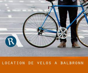 Location de Vélos à Balbronn