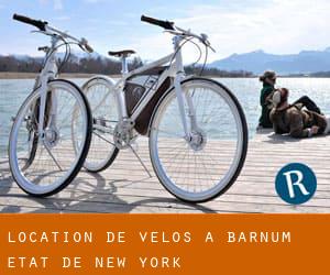 Location de Vélos à Barnum (État de New York)
