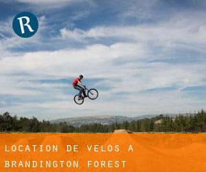 Location de Vélos à Brandington Forest