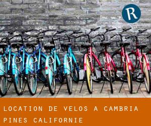 Location de Vélos à Cambria Pines (Californie)