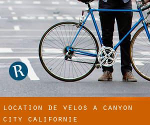 Location de Vélos à Canyon City (Californie)