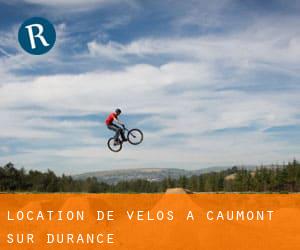 Location de Vélos à Caumont-sur-Durance