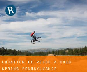 Location de Vélos à Cold Spring (Pennsylvanie)