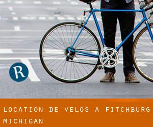 Location de Vélos à Fitchburg (Michigan)