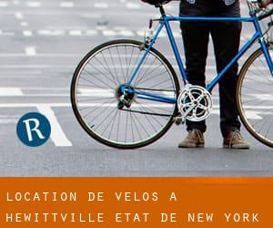 Location de Vélos à Hewittville (État de New York)