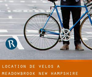 Location de Vélos à Meadowbrook (New Hampshire)