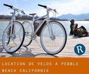 Location de Vélos à Pebble Beach (Californie)