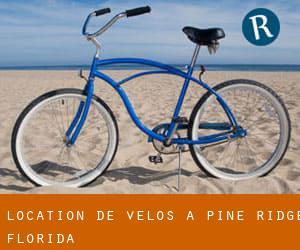 Location de Vélos à Pine Ridge (Florida)