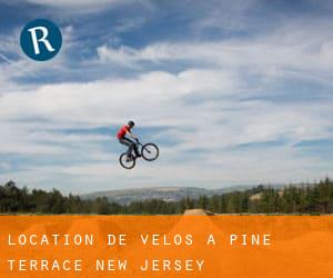 Location de Vélos à Pine Terrace (New Jersey)