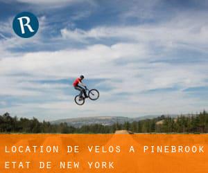 Location de Vélos à Pinebrook (État de New York)