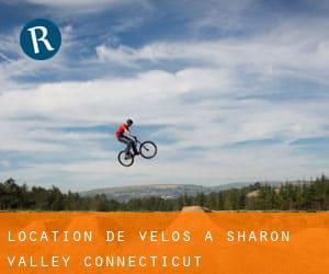 Location de Vélos à Sharon Valley (Connecticut)