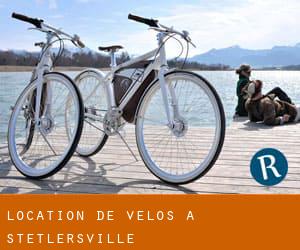 Location de Vélos à Stetlersville