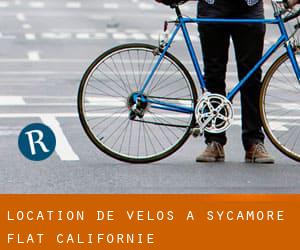 Location de Vélos à Sycamore Flat (Californie)