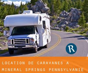 Location de Caravanes à Mineral Springs (Pennsylvanie)