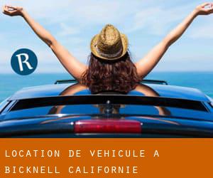 Location de véhicule à Bicknell (Californie)