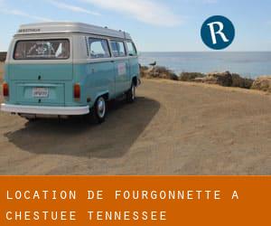 Location de Fourgonnette à Chestuee (Tennessee)