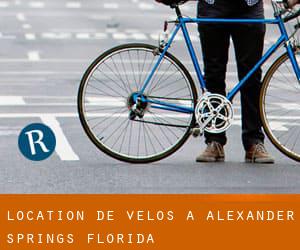 Location de Vélos à Alexander Springs (Florida)