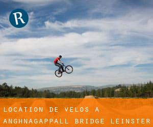 Location de Vélos à Anghnagappall Bridge (Leinster)