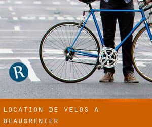 Location de Vélos à Beaugrenier