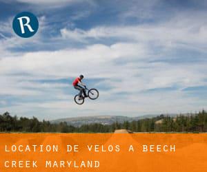 Location de Vélos à Beech Creek (Maryland)