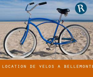 Location de Vélos à Bellemonte