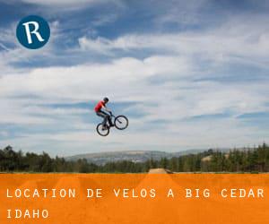 Location de Vélos à Big Cedar (Idaho)