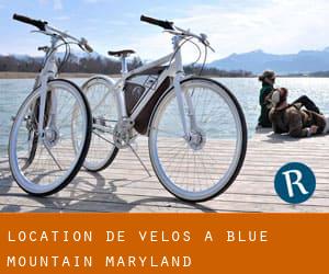 Location de Vélos à Blue Mountain (Maryland)