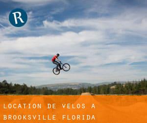 Location de Vélos à Brooksville (Florida)