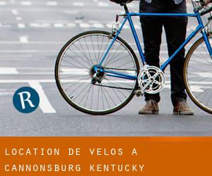 Location de Vélos à Cannonsburg (Kentucky)