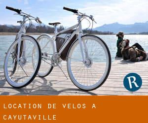 Location de Vélos à Cayutaville