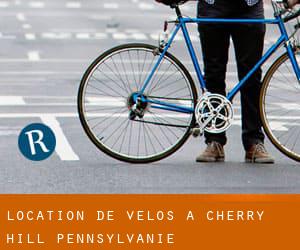 Location de Vélos à Cherry Hill (Pennsylvanie)
