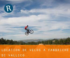 Location de Vélos à Fabbriche di Vallico