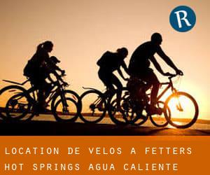 Location de Vélos à Fetters Hot Springs-Agua Caliente