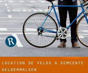 Location de Vélos à Gemeente Geldermalsen