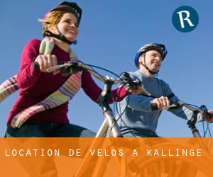 Location de Vélos à Kallinge