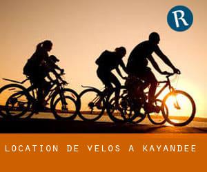Location de Vélos à Kayandee
