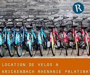 Location de Vélos à Krickenbach (Rhénanie-Palatinat)