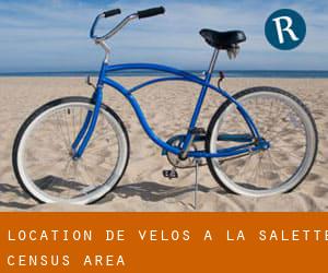 Location de Vélos à La Salette (census area) Location de Vélos à La Salette (census area)