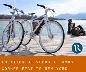 Location de Vélos à Lambs Corner (État de New York)