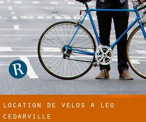 Location de Vélos à Leo-Cedarville