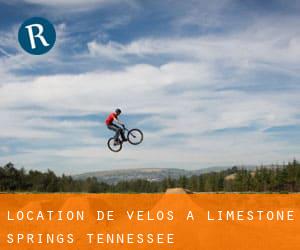 Location de Vélos à Limestone Springs (Tennessee)