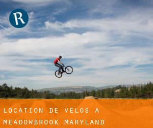 Location de Vélos à Meadowbrook (Maryland)