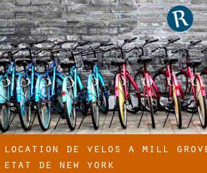Location de Vélos à Mill Grove (État de New York)