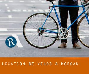 Location de Vélos à Morgan Location de Vélos à Morgan