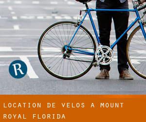 Location de Vélos à Mount Royal (Florida)