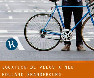 Location de Vélos à Neu Holland (Brandebourg)