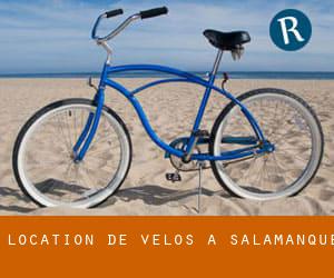 Location de Vélos à Salamanque