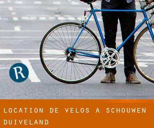 Location de Vélos à Schouwen-Duiveland